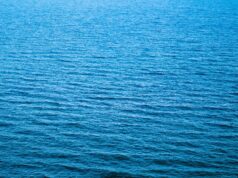 Strategi Investasi Saham Blue Chip Untuk Pemula