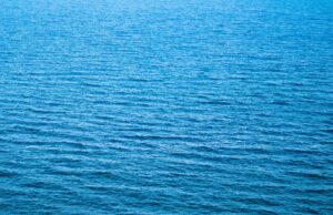 Strategi Investasi Saham Blue Chip Untuk Pemula