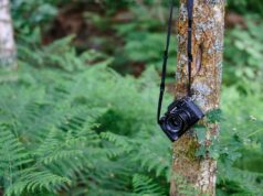 Pemantauan Satwa Liar Menggunakan Camera Trap